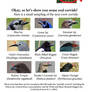 Corvids Have Nasal Bristles PSA