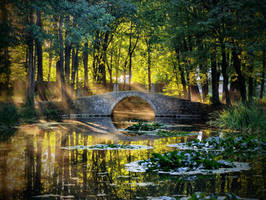 The Bridge (Sucha Bezkidzka - Poland)