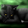 Ravenpaw