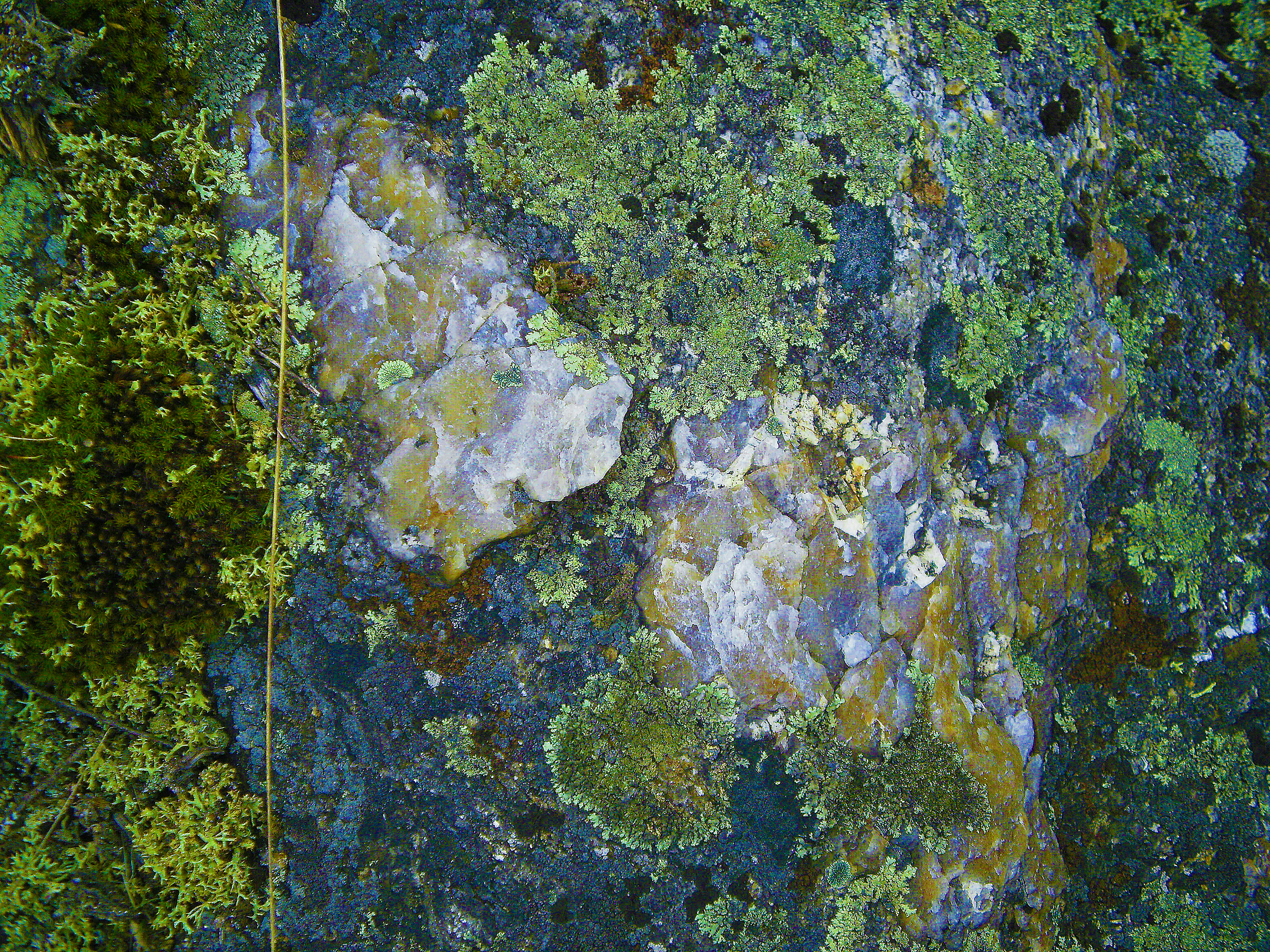 marble-moss-rock