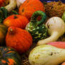 gourds 2