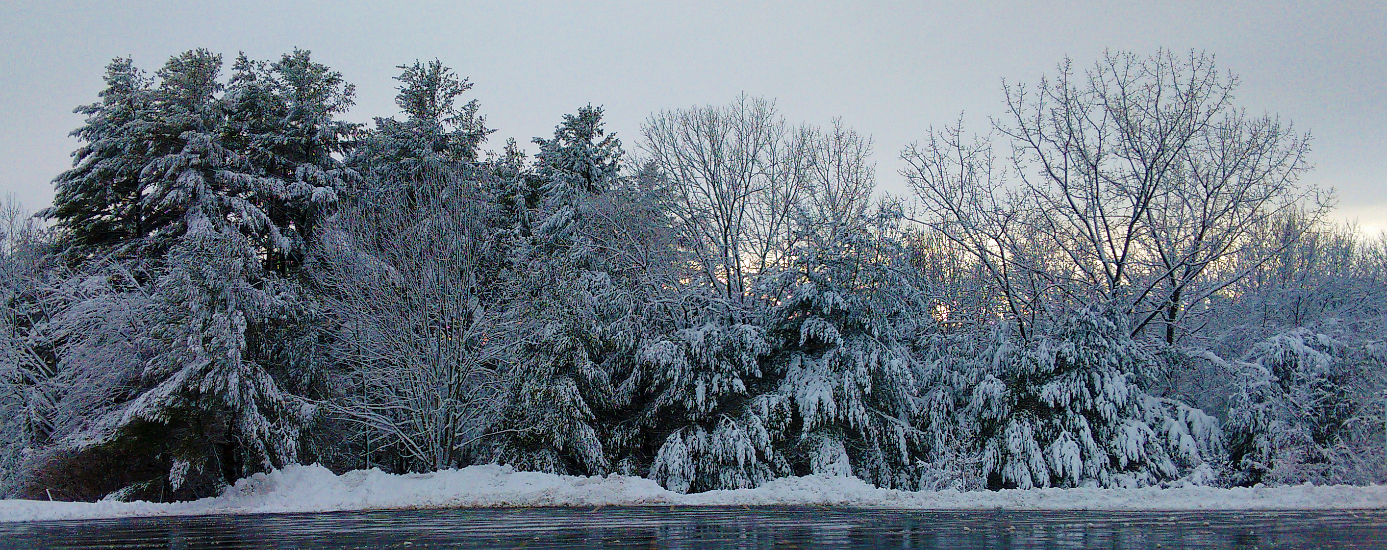 a world in white