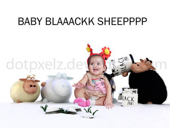 baby blaack sheeep