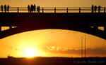 Bat Sunset by jayshree