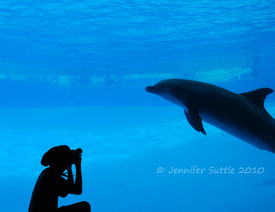 A day at the Aquarium