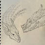 Random dragons