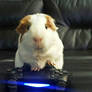 Twinkie playing PS4