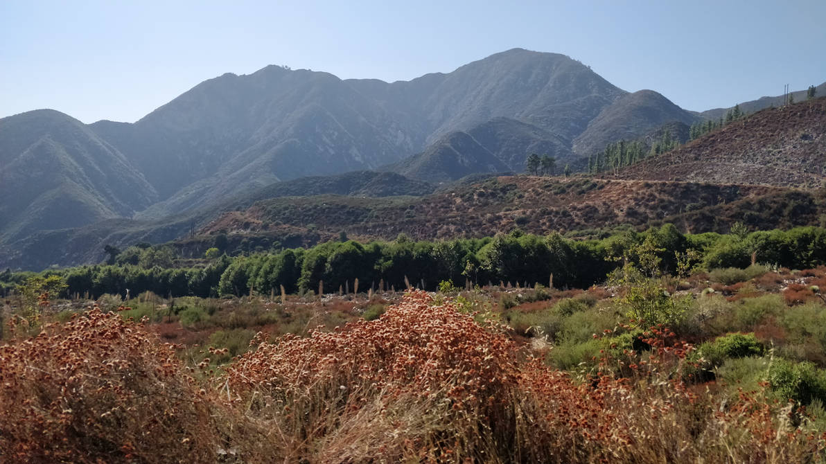 California countryside by LLW84 on DeviantArt