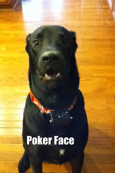 Scout's poker face XD