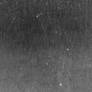 Texture 175