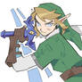 Twilight Princess Link