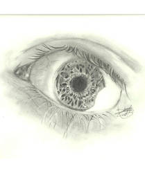 Eye