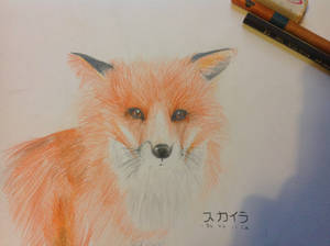 Fox