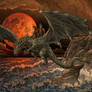 Dragon Riders