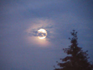 Fullmoon and Clouds