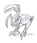 Bird-insect-scale-Creature