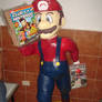 Mario display