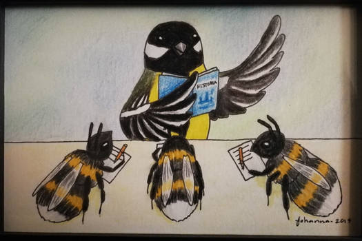 Great tit the teacher and the bumblebees