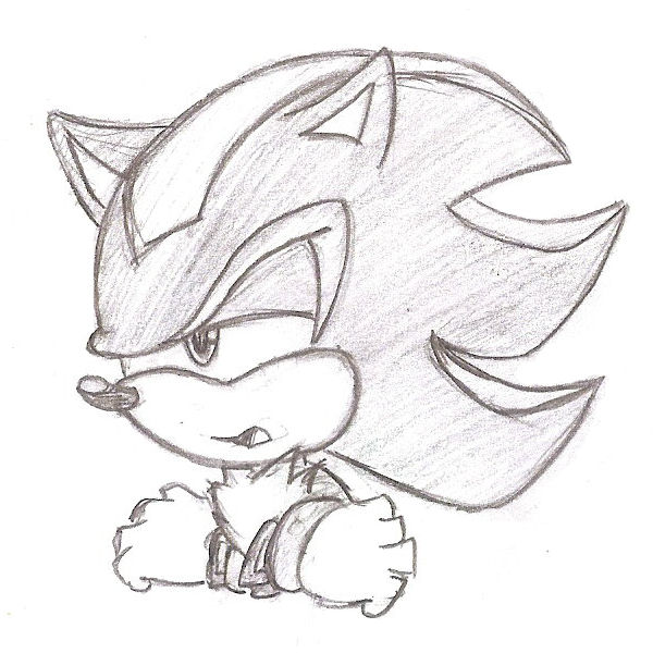 Shadow The Hedgehog by Pinkythehedgehog101 on DeviantArt