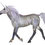 Unicorn Render