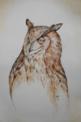 Owl Painting