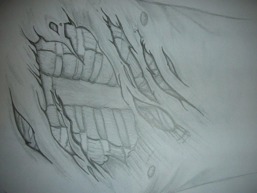 chest with massive rip by jakgoddard07evo on DeviantArt