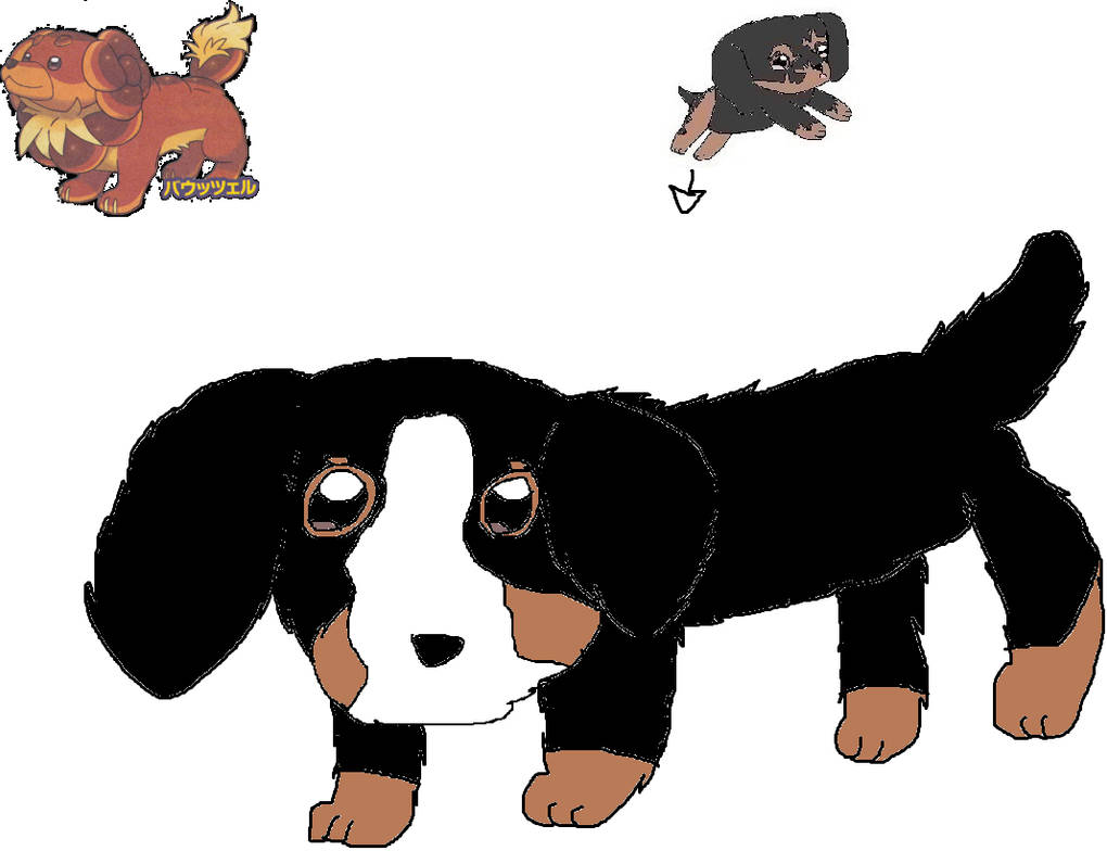 Ruipooch By Akarifan25 On DeviantArt ruipooch-by-akarifan25-on-deviantart