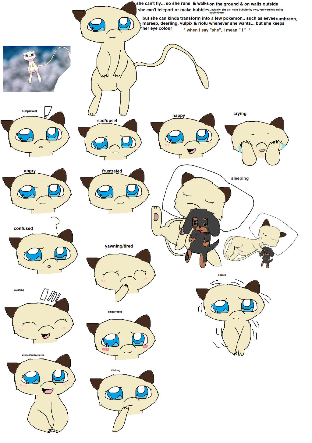 which one do i want to be - please help me choose... is it eevee - umbreon,  riolu or mew?  *edit: i am now a mew? *