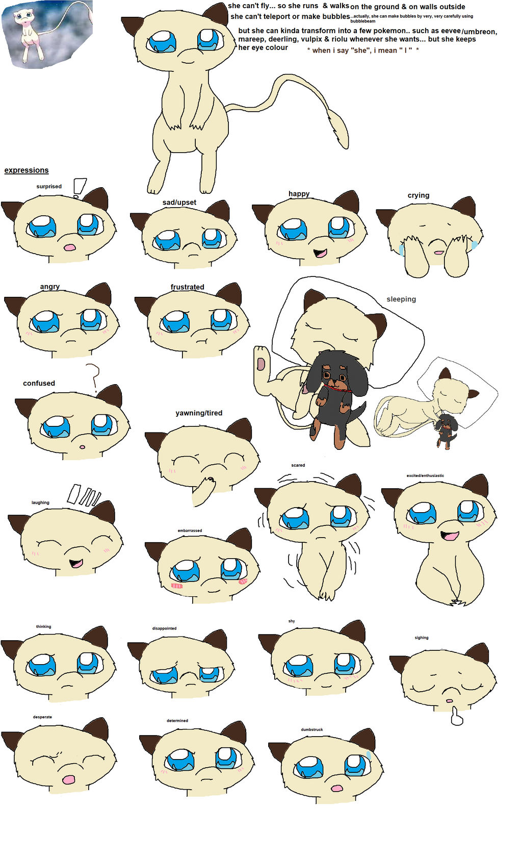 which one do i want to be - please help me choose... is it eevee - umbreon,  riolu or mew?  *edit: i am now a mew? *