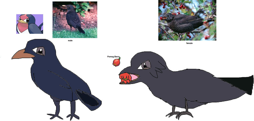 blackbird_pokemon___turmeru_by_akarifan25_dfz6zht-fullview.jpg