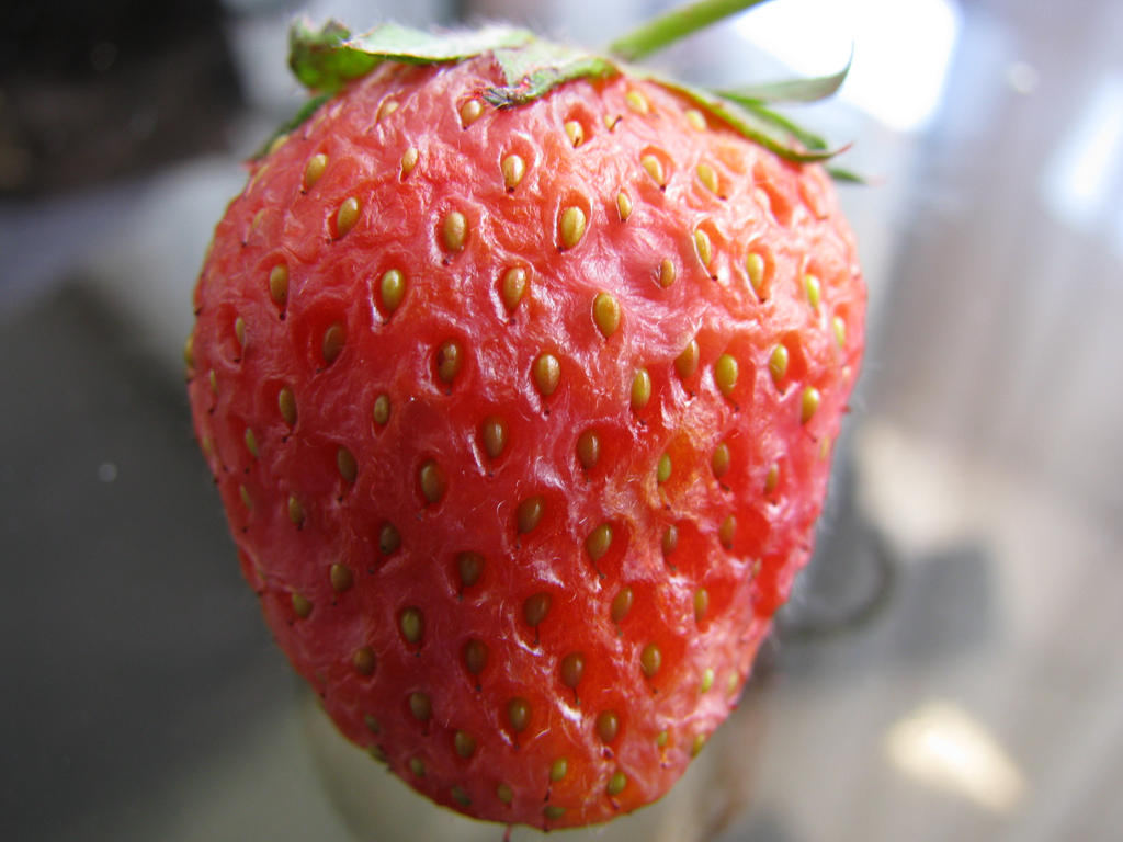 strawberry