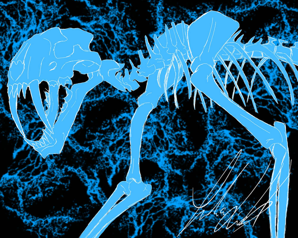 Skeleton by JuliaVictoriaLiebl on DeviantArt