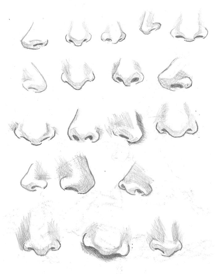 Female Nose Studies By Bluegun45 On DeviantArt female-nose-studies-by-bluegun45-on-deviantart