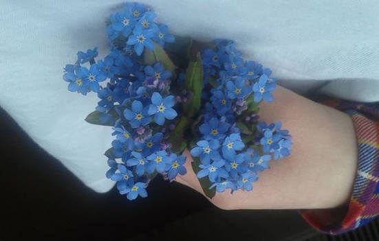 Blue flowers