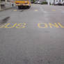 bus only