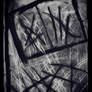 The 'Lovely Scratches'