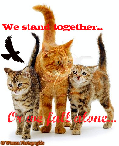 Stand Together or Fall Alone