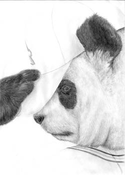 Explore The Best 和歌山art Deviantart Explore The Best 和歌山art Deviantart