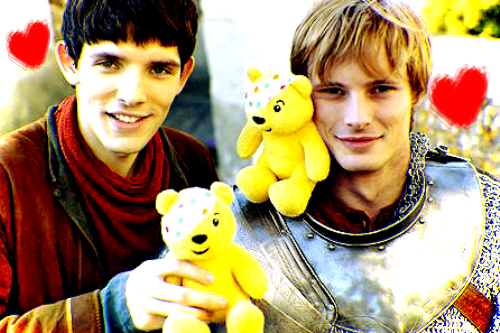 Colin and Bradley and the cute bears