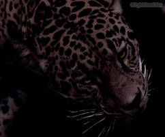 In the dark...
