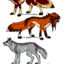 Wo lf and foxadoptables