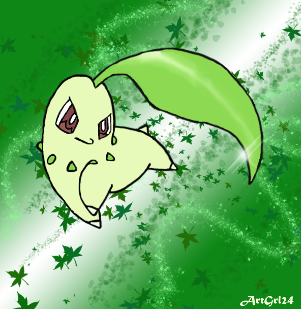 Chikorita