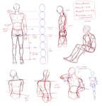 dude anatomy by AngelKite