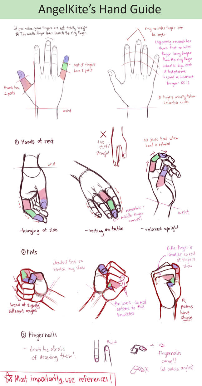 Guide - Hands by AngelKite on DeviantArt