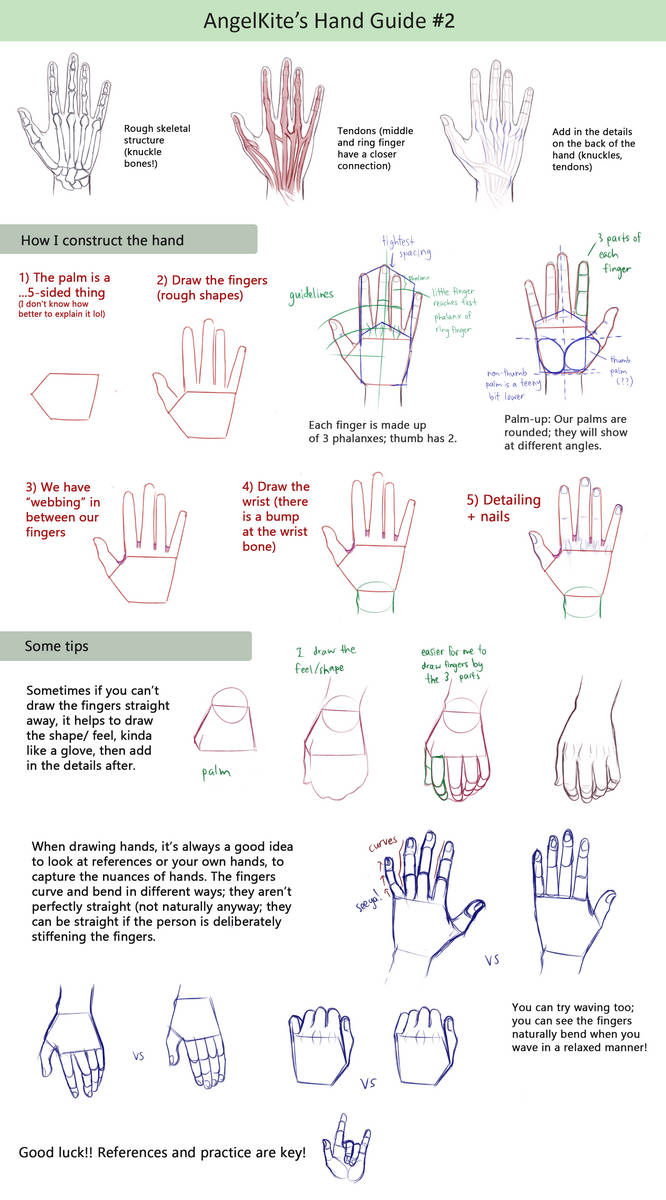 Guide - Hands #2 by AngelKite on DeviantArt