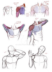 shoulder tips