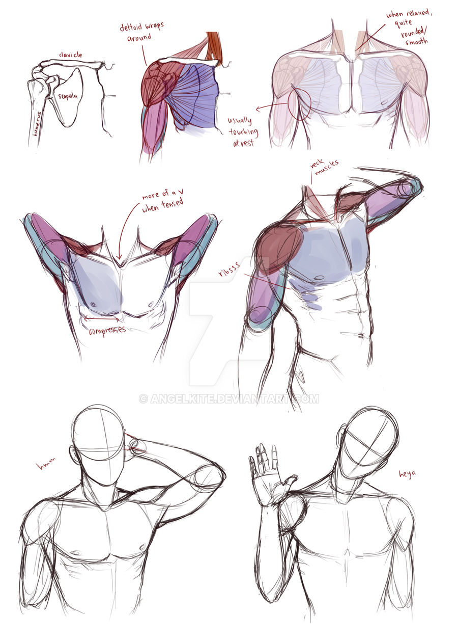 shoulder tips by AngelKite on DeviantArt