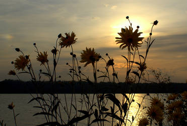 sunset over the Vistula