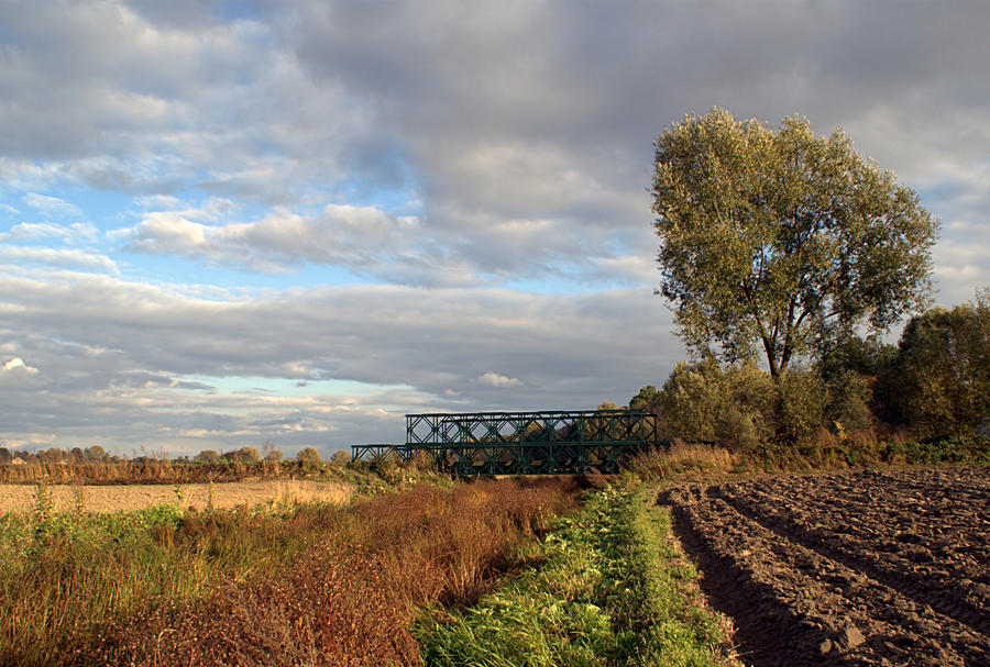 landscape with small bridge