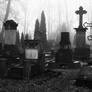 cemetery silence